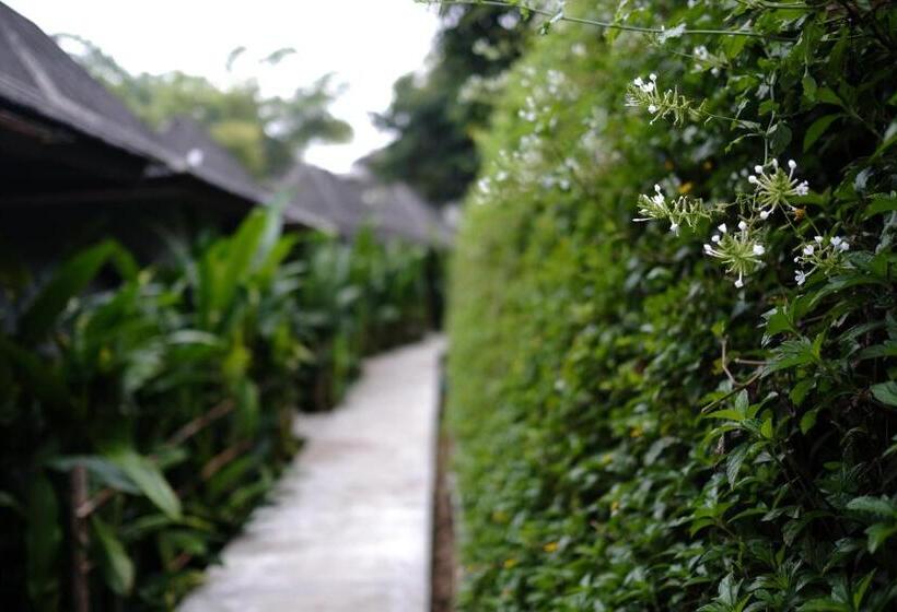 빌라 침실 1개, Yoma Hotel, Pai