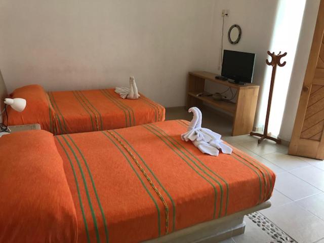 חדר אקונומי, Villas Naomi