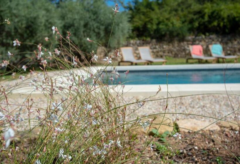 1ベッドルームアパートメント, Le Champ Des Oliviers