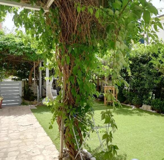 スタンダードルーム, Lo Zahir