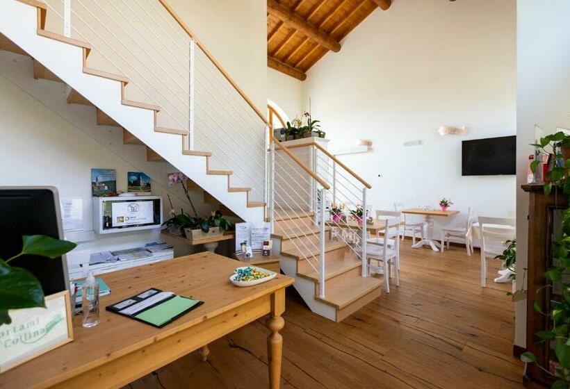 Номер Стандарт, Portami In Collina