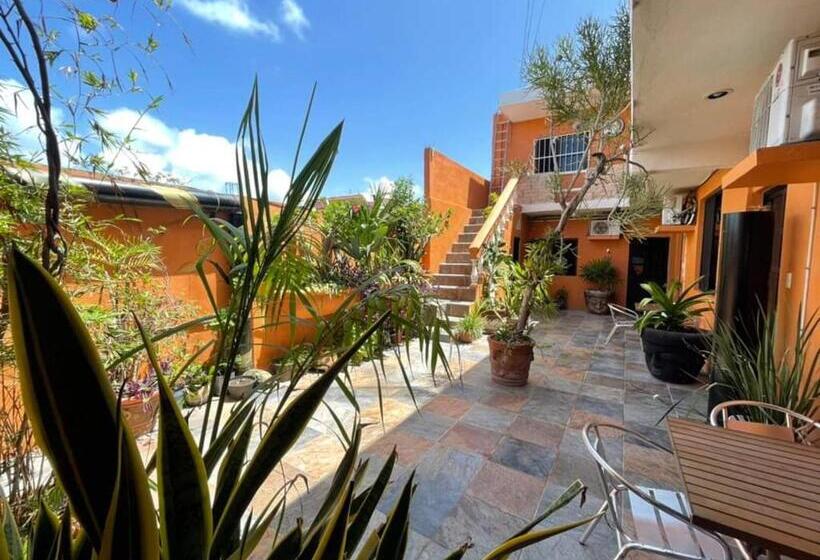 اتاق لوکس, El Ultimo Maya