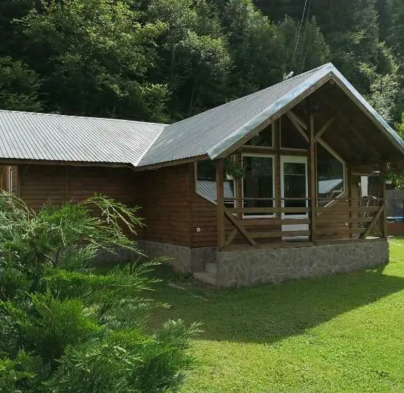 ４ベッドルームハウス, Casa De Vacanta Aurelia