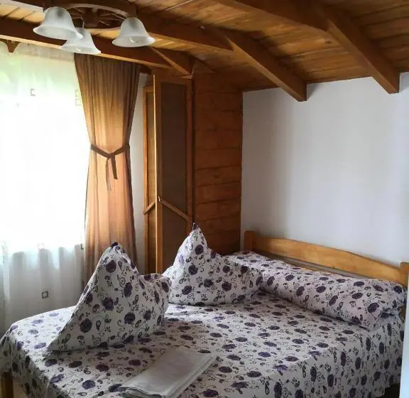 ４ベッドルームハウス, Casa De Vacanta Aurelia