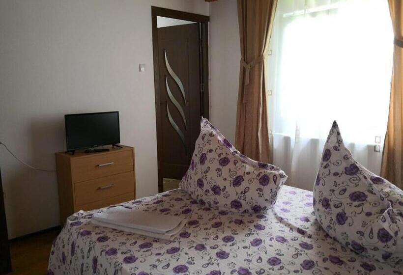 בית, 4 חדרי שינה, Casa De Vacanta Aurelia