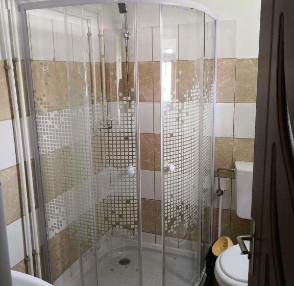 בית, 4 חדרי שינה, Casa De Vacanta Aurelia