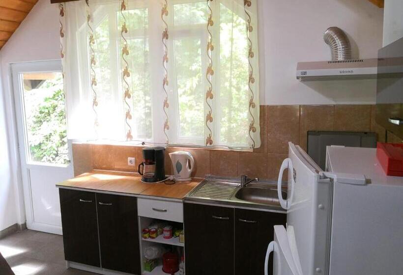 בית, 4 חדרי שינה, Casa De Vacanta Aurelia