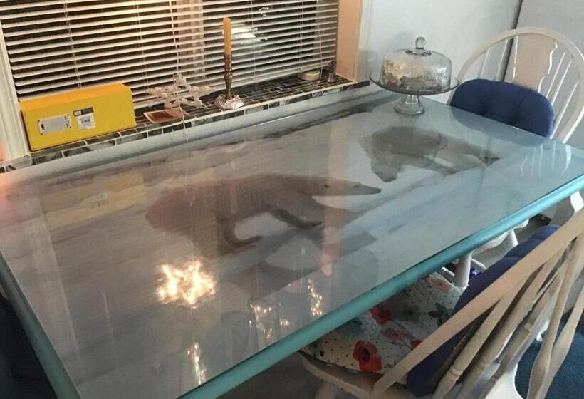 חדר אקונומי יחיד, Brennan S B&b