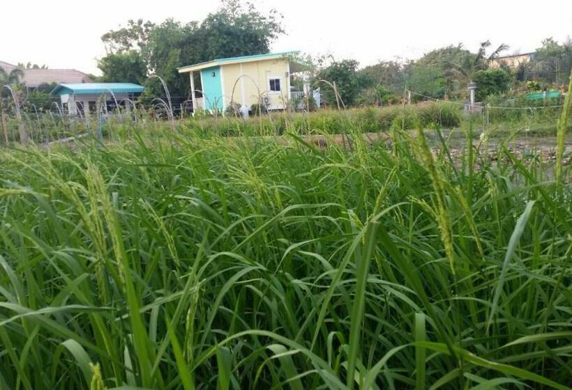 ガーデンビューのスタンダードバンガロー, Ban Ing Suan