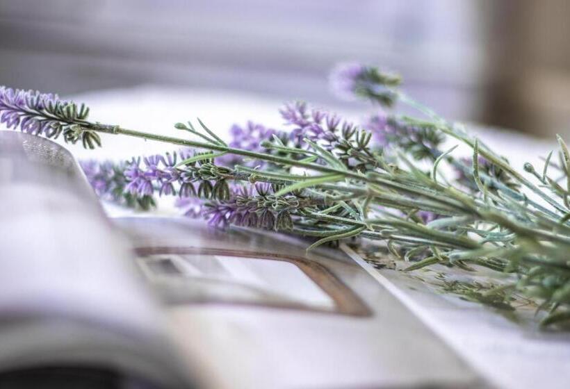 스탠다드 룸, Garden Loft