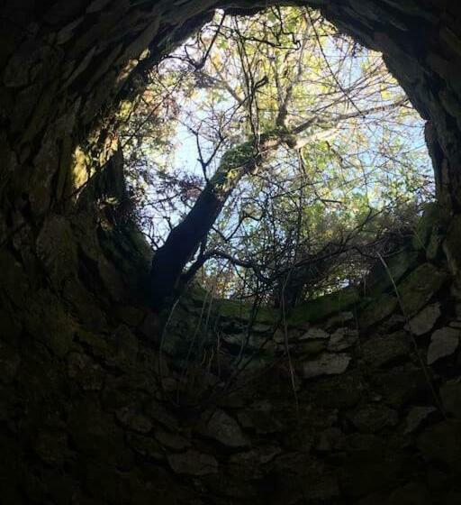 标准平房, Casa Do Rio