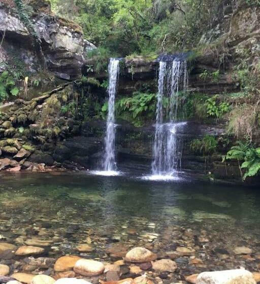 标准平房, Casa Do Rio