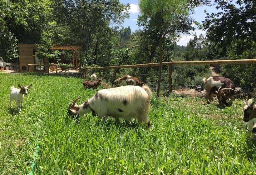 带2个卧室的标准洋房, Casa Do Rio