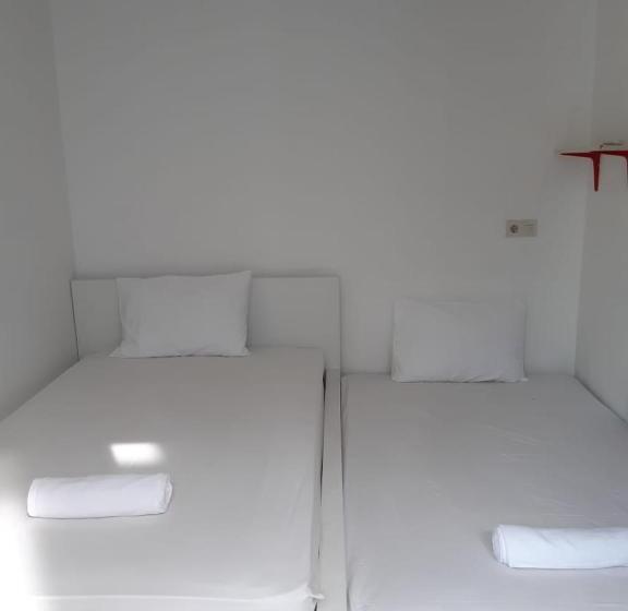 חדר בסיסי, 9am