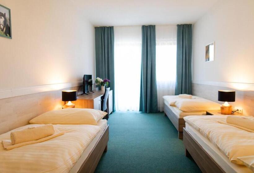 스탠다드 룸, Penzión Uhliská A Depandance Gazdovský Dom