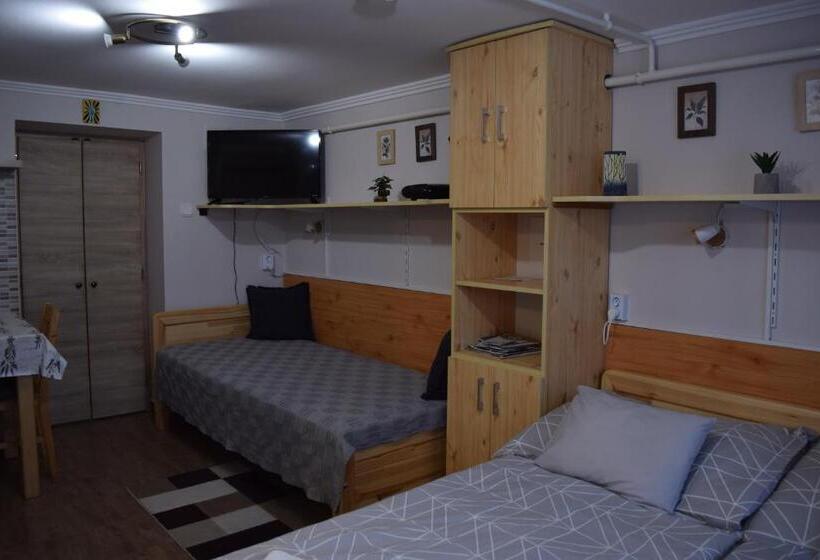 1階の1ベッドルームアパートメント, Prokop Vendégház