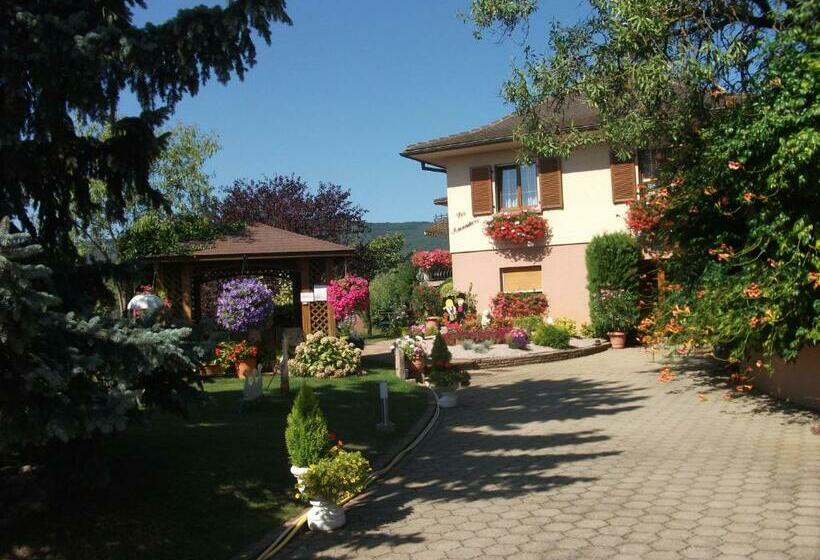 Номер Стандарт, Les Amandiers