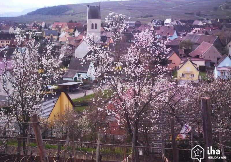 Номер Стандарт, Les Amandiers