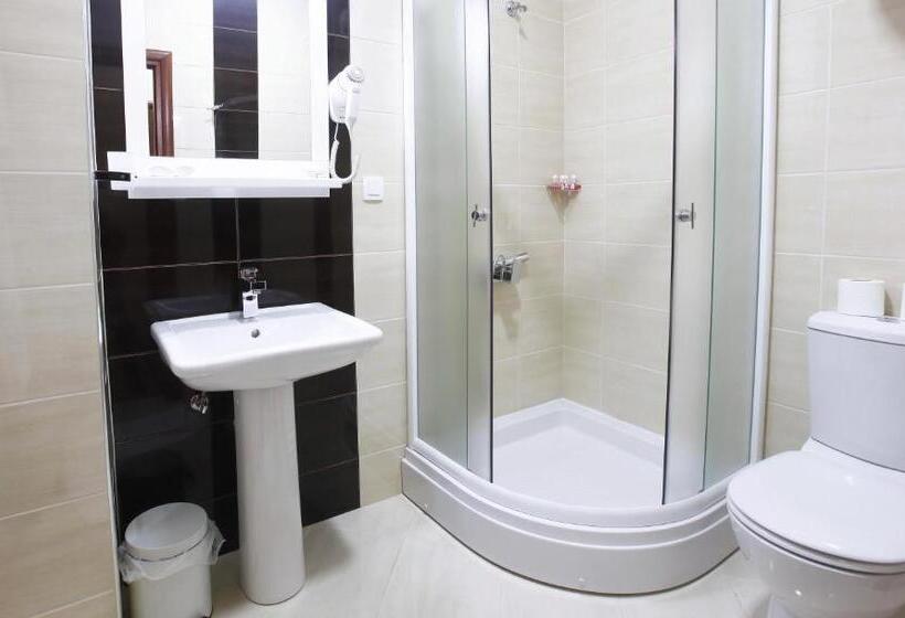 اتاق استاندارد سه نفره, Centar