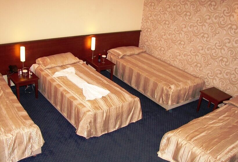 اتاق استاندارد سه نفره, Centar