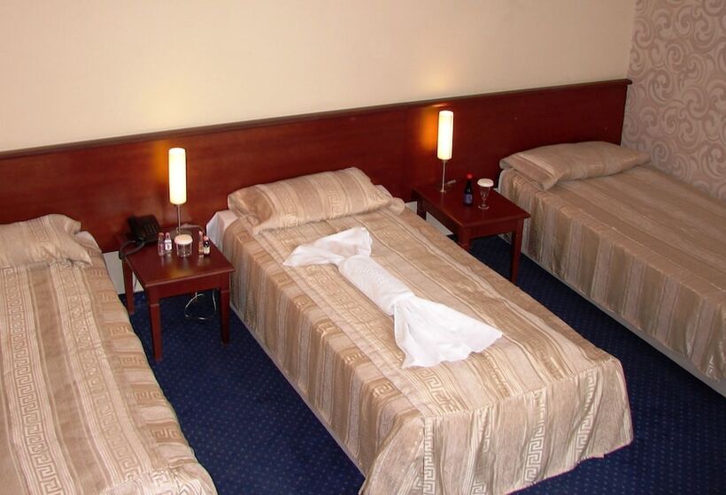 اتاق استاندارد سه نفره, Centar