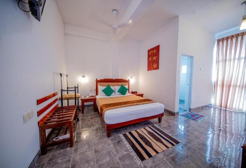 标准单人间, Olympus Plaza