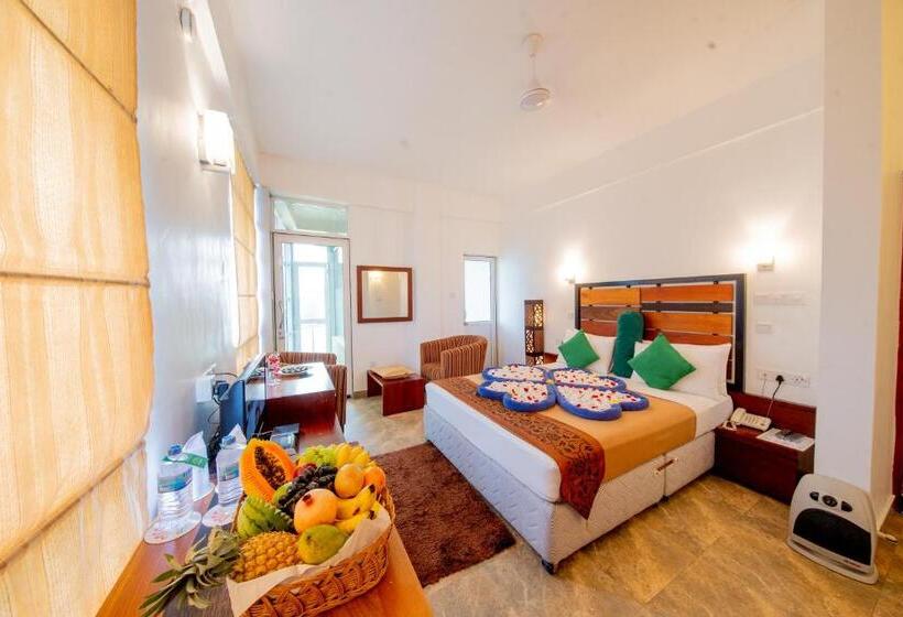 标准间带山景, Olympus Plaza