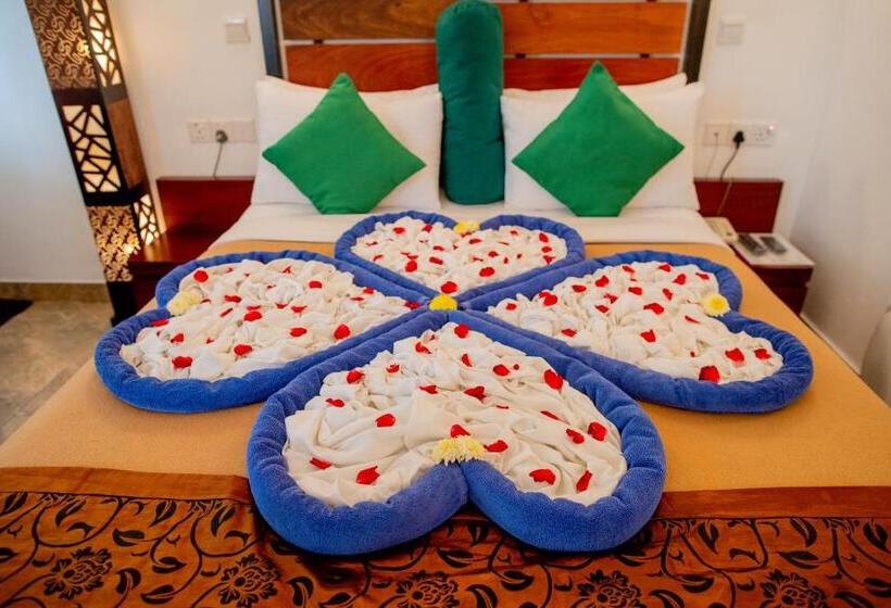 标准间带山景, Olympus Plaza