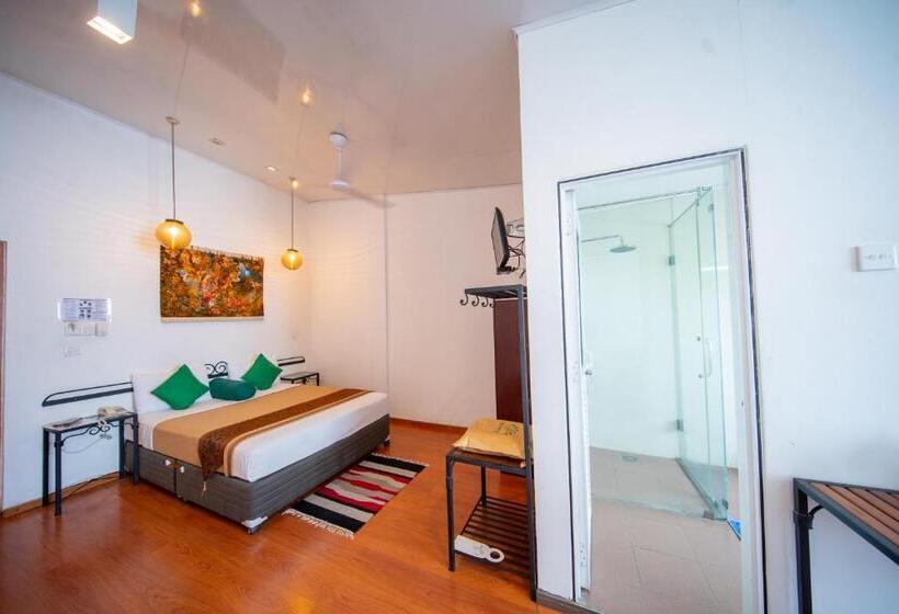 标准间带山景, Olympus Plaza