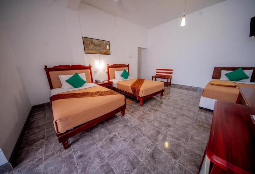 标准三人间, Olympus Plaza