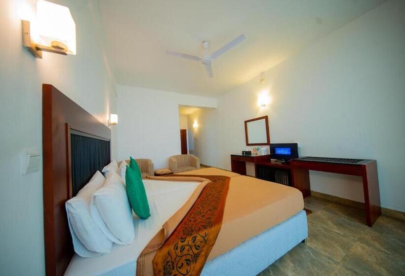 带观景的标准间, Olympus Plaza