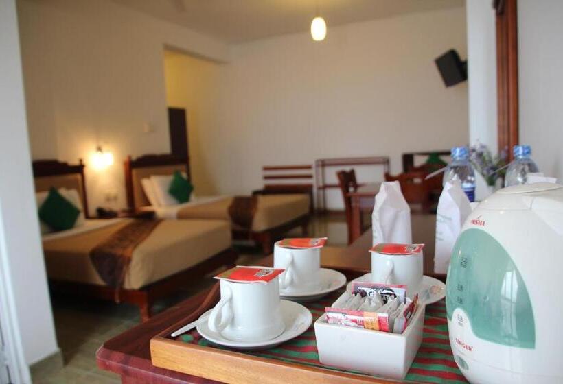 带观景的标准间, Olympus Plaza