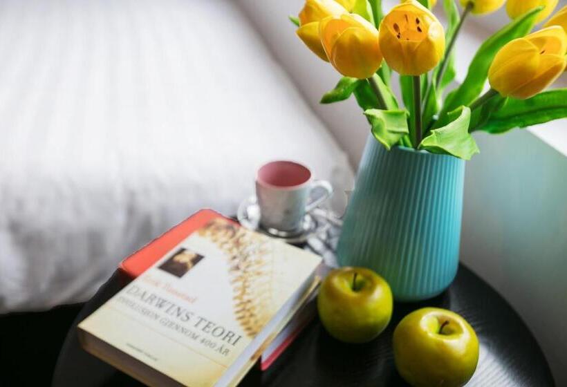 اتاق استاندارد, Splendid Star Grand Hotel And Spa