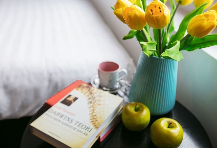 اتاق سوپریور, Splendid Star Grand Hotel And Spa