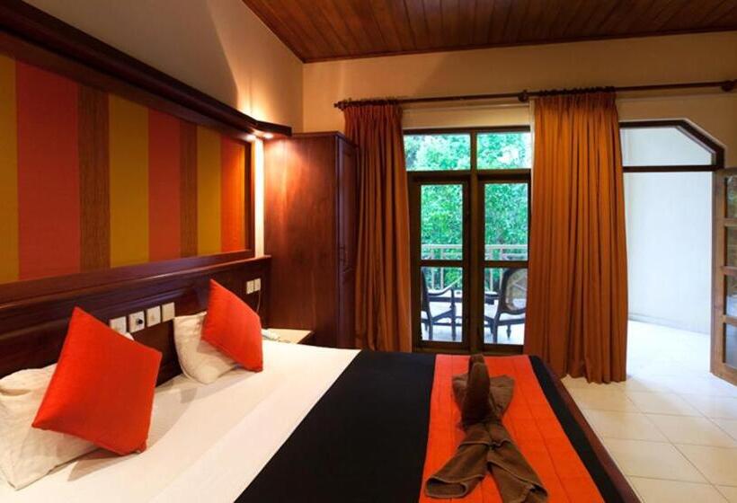 디럭스 룸, Pelwehera Village Resort