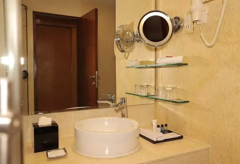 ビジネスルーム, Radisson Blu Udaipur Palace Resort & Spa