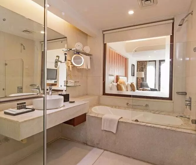 ビジネスルーム, Radisson Blu Udaipur Palace Resort & Spa
