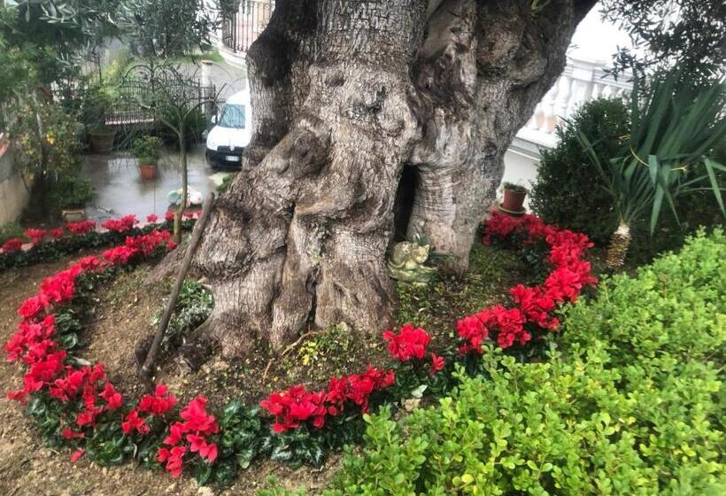 غرفة قياسية فردية, B&b Rosa Dei Venti