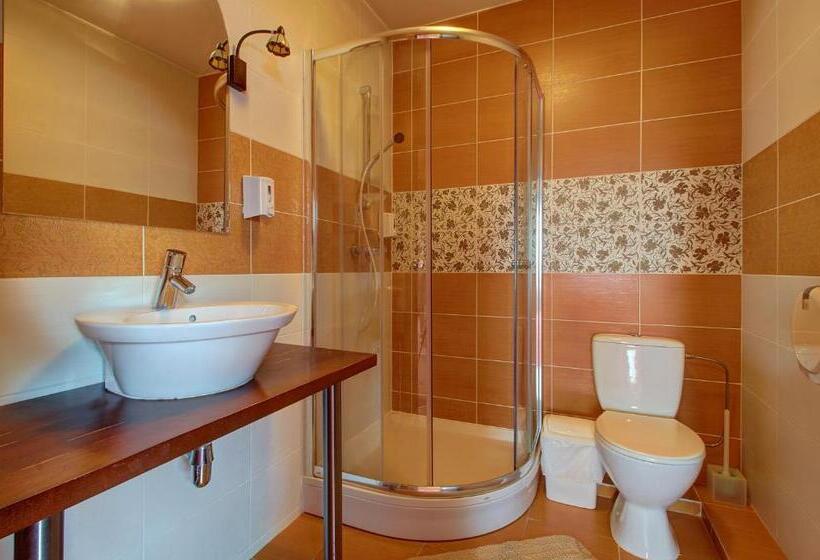 اتاق استاندارد, Aero