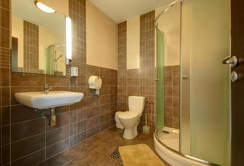 اتاق سوپریور سه تخته, Aero