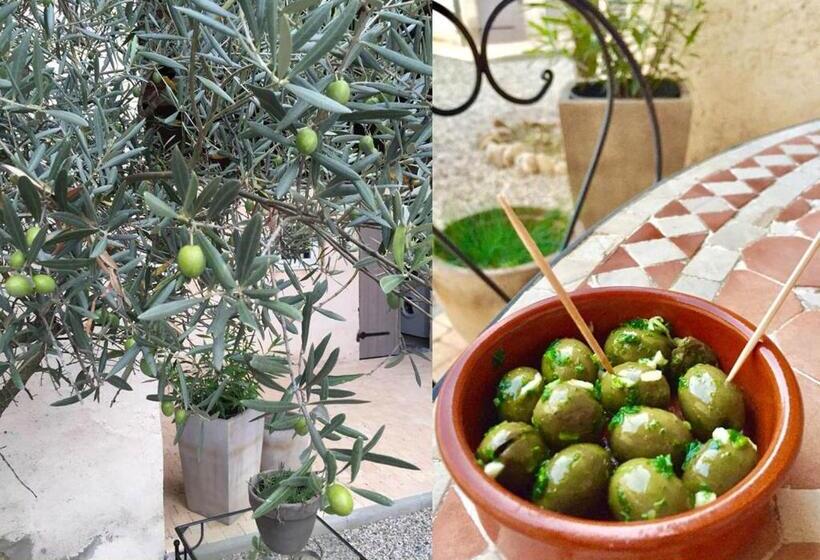 חדר לארבעה סטנדרטי עם נוף לגינה, La Grange De La Batone   Bed And Breakfast