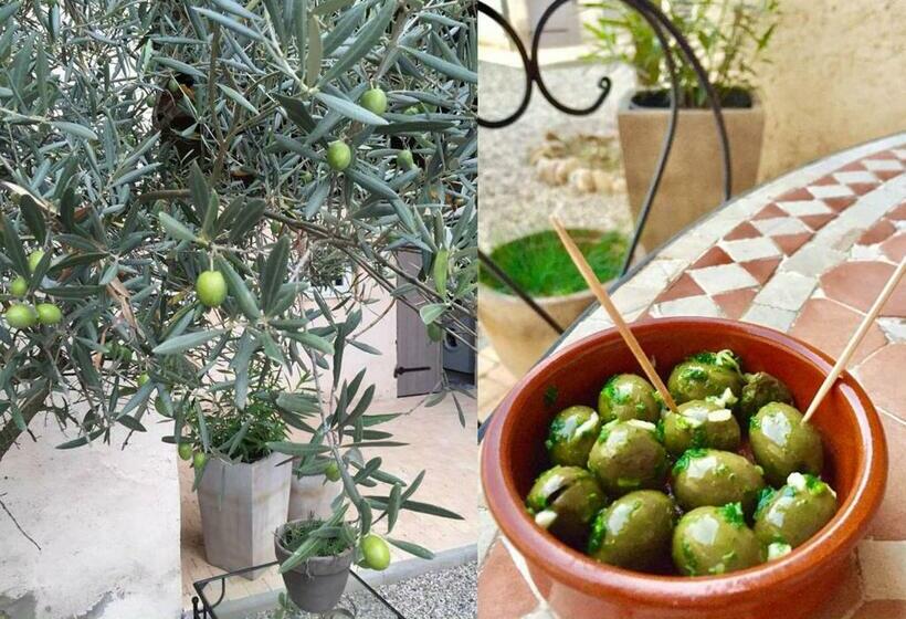 חדר סטנדרט לארבעה, La Grange De La Batone   Bed And Breakfast