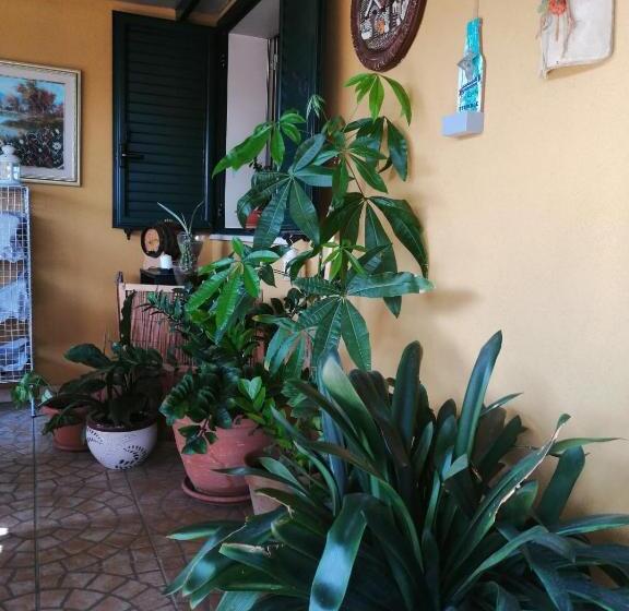 اتاق استاندارد, Green House