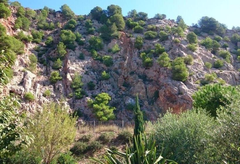 Номер Стандарт Совместная Ванная, Bien Vivre Ensemble Aux Marches Du Soleil Chambres Privées Chez L Habitant Dans Appartement Partag