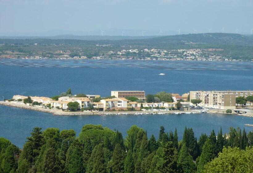 Номер Стандарт Совместная Ванная, Bien Vivre Ensemble Aux Marches Du Soleil Chambres Privées Chez L Habitant Dans Appartement Partag