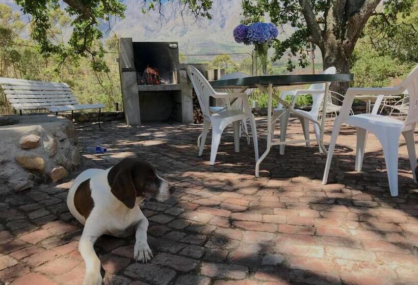 منزل 3 غرف نوم, Fisaasbos