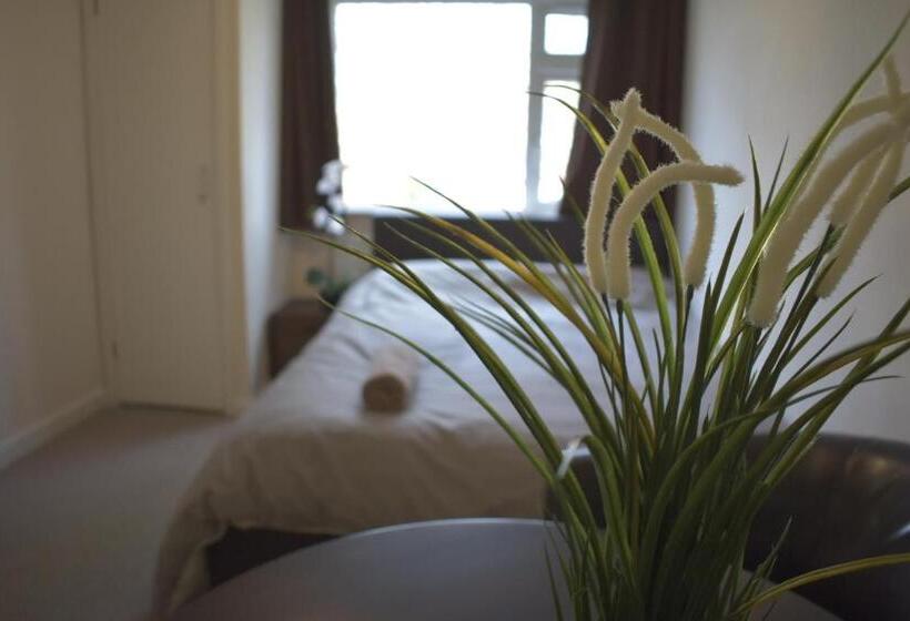 اتاق استاندارد, Home And A Stay