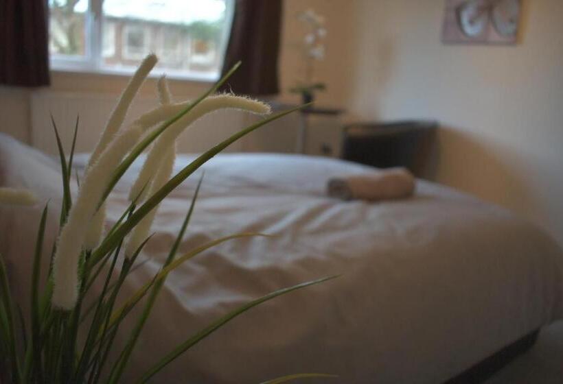 스탠다드 룸, Home And A Stay