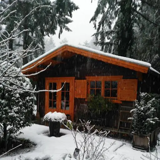 スタンダードルーム, Bed En   Of Zonder   Breakfast Putten
