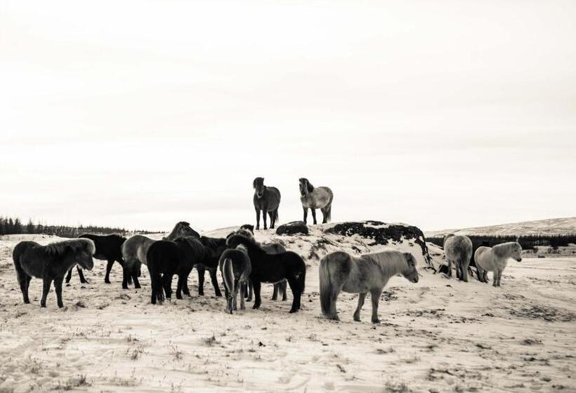 اتاق استاندارد, Mjóanes Accommodation